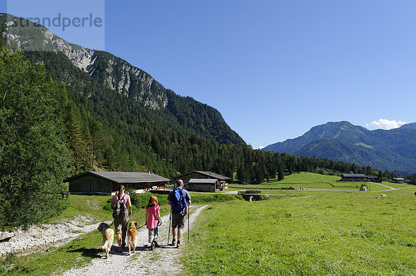 Wanderer mit Hunden an den Pletzachalm im Karwendeltal  bei Pertisau am Achensee  Karwendel  Tirol  Österreich  Europa