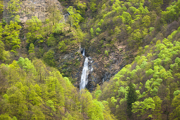 Felsbrocken Europa Steilküste Wald Bach Holz Wasserfall Schweiz