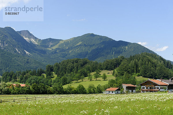 Bauernhof in Osterhofen  bei Bayerischzell  mit den Bergen des Spitzinggebiets  Oberbayern  Bayern  Deutschland  Europa