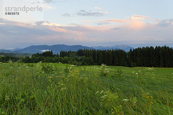 Abendstimmung nach einem Sommergewitter  von Promberg bei Penzberg  auf die Benediktenwand  Oberbayern  Bayern  Deutschland  Europa