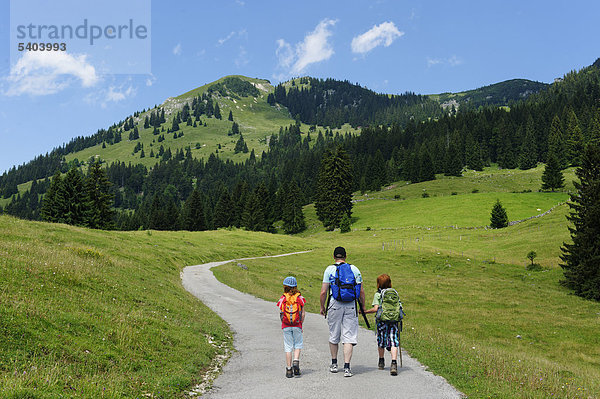 Vater und Kinder beim Bergsteigen auf dem Weg zum Wildalpjoch  im Sudelfeldgebiet  Oberbayern  Bayern  Deutschland  Europa