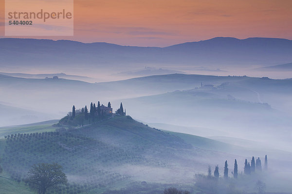 San Quirico d ' Orcia  Italien  Europa  Toskana  Kamm  Grat  Horizont  Skyline  Hügel Landschaft  Manor  Bäume  Zypressen  morgen Nebeln  Tagesanbruch  Stimmung