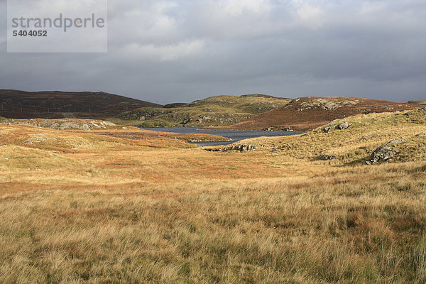 Europa  Großbritannien  Schottland  UK  Herbst  Natur  Landschaft  sumpfigen Landschaft  Loch  See  Meer  Gras  leichte Stimmung  Hebriden