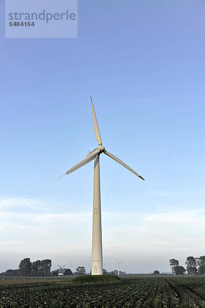 Windrad  Windradkraftmaschine  Nähe Brokdorf  Schleswig-Holstein  Deutschland  Europa
