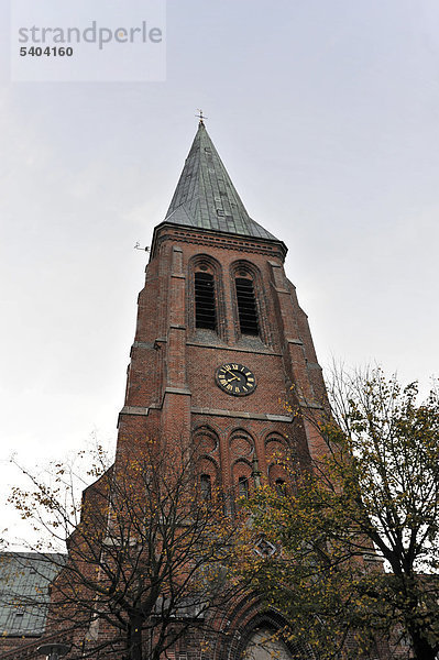 Meldorfer Dom  Sant-Johannis-Kirche  erbaut wurde das erste Domgebäude zwischen 810 und 828  Schleswig-Holstein  Deutschland  Europa