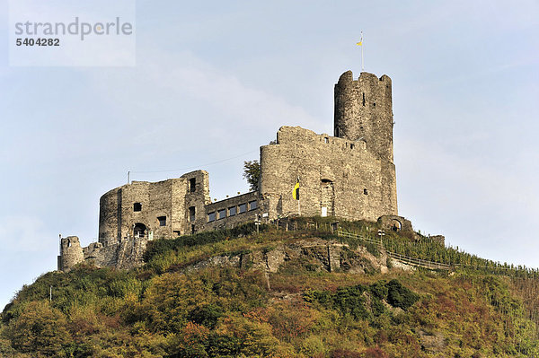 Blick auf die Burg Landshut  Höhenburg  Bernkastel-Kues  Landkreis Bernkastel-Wittlich  Mittelmosel  Rheinland-Pfalz  Deutschland  Europa