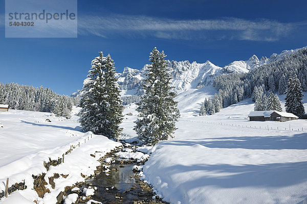 Lutertannen  Winter  Säntis  Alpstein  Bach  Appenzell  Schweiz  Europa