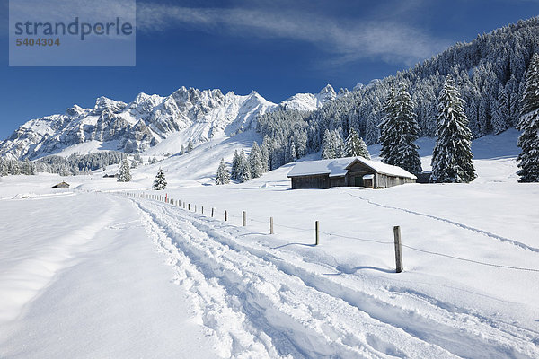 Lutertannen  Winter  Säntis  Alpstein  Art und Weise  verfolgen  Spur  Alm Hütte  Silberplatten  Appenzell  Schweiz  Europa