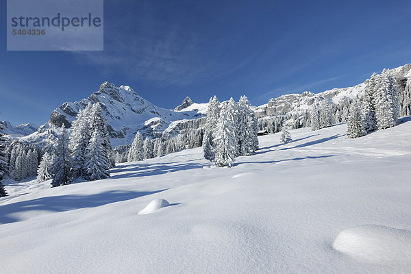 Europa Berg Winter Schnee Schweiz