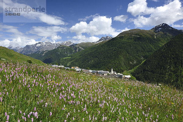 Guarda  Unterengadin  Engadin  Blume  Wiese  Bergdorf  Kirche  Wakkerpreis  Graubünden  Graubünden  Schweiz  Europa