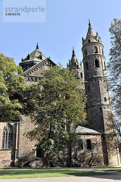 Wormser Dom  erbaut von 1130 bis 1181  Worms  Rheinland-Pfalz  Deutschland  Europa