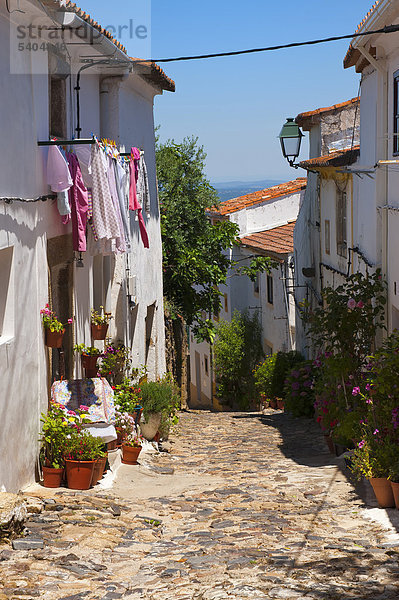 Mittelalterliche Straße  Castelo de Vide  Alentejo  Portugal  Europa