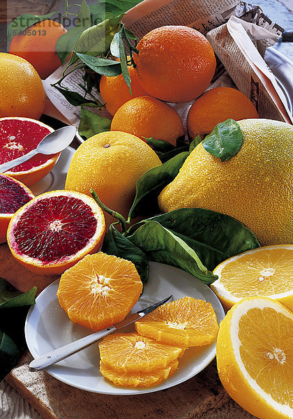 Orangen  Warenkunde  Infotext gegen Gebühr erhältlich