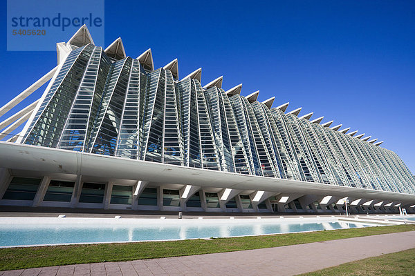 Spanien  Europa  Valencia  Stadt der Künste und Wissenschaften  Calatrava  Architektur  moderne  Wasser