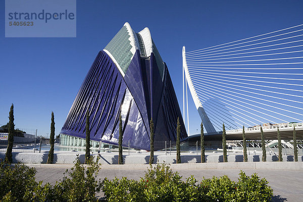 Spanien  Europa  Valencia  Stadt der Kunst und Wissenschaft  Calatrava  Architektur  Modern  Agora  Park  Assut del oder Brücke