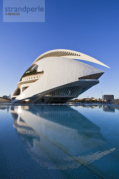 Spanien  Europa  Valencia  Stadt der Künste und Wissenschaften  Calatrava  Architektur  Modern  Joan Ripolles  Skulptur  Kunst  Palast der Künste