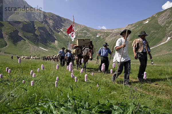 Alpen  Alpenüberquerung  Bergstrecke  Bergwanderung  Grenzüberschreitung  Marsch  Maulesel  Maultier  Muli  Pass  Passhöhe  Pferd  Riale  Route  Saumzug  Sbrinz  Sbrinz-Route  Schweiz  Säumerwoche  Wallis  Wanderer  Wanderung  Weg  historisch