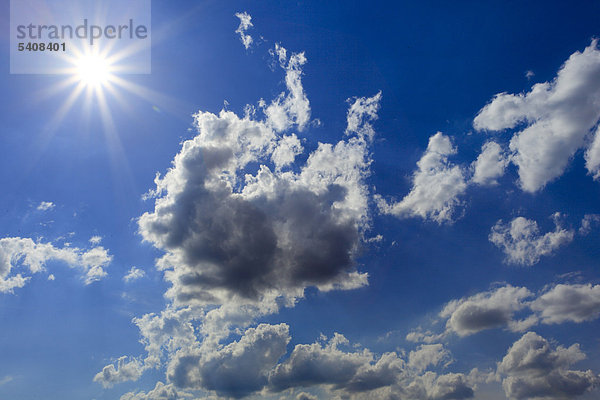 Detail Details Ausschnitt Ausschnitte blauer Himmel wolkenloser Himmel wolkenlos Helligkeit sternförmig Energie energiegeladen Sonnenstrahl grau Frische Wolke Beleuchtung Licht Himmel blau Sonnenlicht Sonnenenergie frische Luft Sonne Schweiz