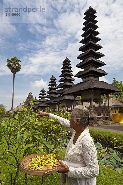 Indonesien  Asien  Bali Insel  Mengwi  Pura Taman Ayun Tempel  Frau  sammeln  Blumen  Palast  Garten  Tropisch  traditionelle