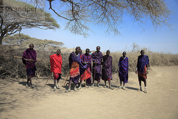 Afrika  Afrikanisch  Ostafrika  Afrika südlich der Sahara  Tanzania  Tansania  Natur  Safari  Reisen  Reiseziele  Wildtiere  Orte der Welt  Dritte Welt  Mann  Männer  Massai Menschen  Dorf