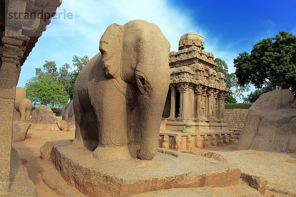 Asien  Asien  Indien  indische  Südasien  South Asian  Subkontinent  Architektur  Gebäude  kulturelle  Kultur  touristische Attraktion  traditionell  Reisen  Reiseziele  Orte der Welt  Stadt  Stadt  alte  Mahabalipuram  Tamil Nadu  Tempel  Skulptur  Kunst  Elefant  Elefanten