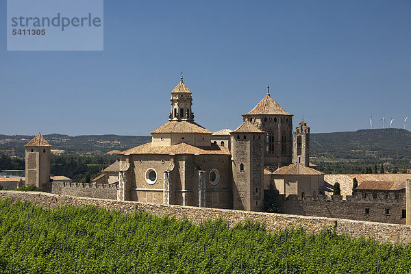 Spanien  Europa  Tarragona  Poblet  Kloster  Welterbe  Trauben  Kloster  Skyline  unesco