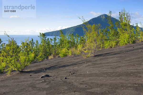 Anak Krakatau  Indonesien  Asien  Java  Insel  Insel  Vulkan  Vulkanismus  Geologie  Meer  Reisen  Urlaub  Ferien  Küste  Krater  Lava  Bäume