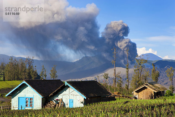 Wohnhaus Gebäude Rauch Vulkanausbruch Ausbruch Eruption Geologie Vulkan Dorf Feld Asche Asien Indonesien Java