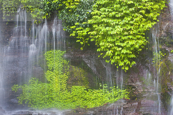Curug Orog  Indonesien  Asien  Java  Urwald  Dschungel  Regen Wald  Natur  Fels  Klippe  Wasser  Wasserfälle
