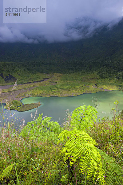 Galunggung  Indonesien  Asien  Java  Vulkan Vulkanismus  Geologie  Krater  crater Lake  See  Farn  Gewitter  Stimmung Stimmung