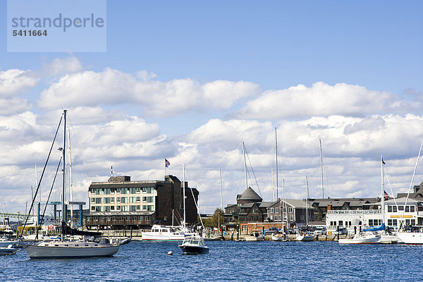 Hafen in Newport  Rhode Island  New England  USA