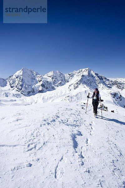 Skitourengeher beim Aufstieg zur hinteren Schöntaufspitze  Sulden im Winter  hinten Königsspitze  Ortler und Zebru  Südtirol  Italien  Europa