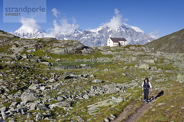 Wanderer vor der Düsseldorfhütte mit Blick auf Ortler  Zebru und König oberhalb von Sulden  Suldental  Südtirol  Italien  Europa