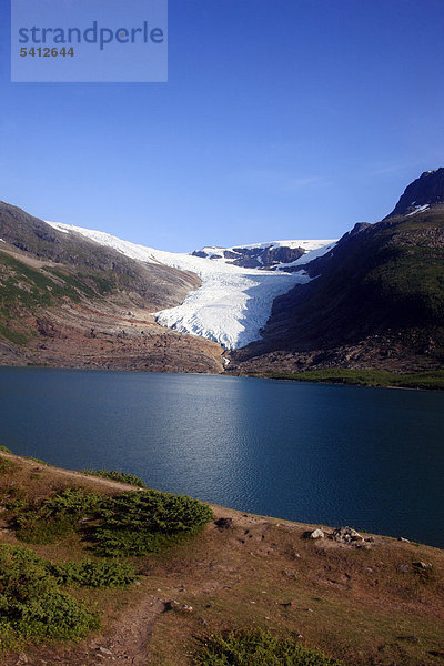 Svartisen-Gletscher  Holandsfjord  Norwegen  Skandinavien  Europa