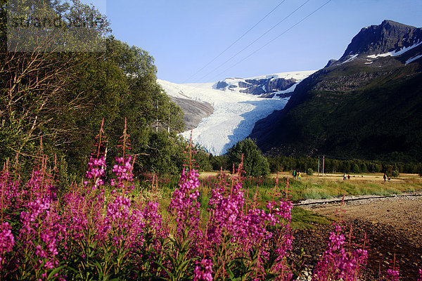 Svartisen-Gletscher  Holandsfjord  Norwegen  Skandinavien  Europa