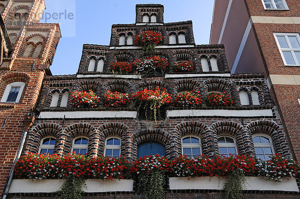 Alter Treppengiebel aus der Renaissance  die Fenster dekoriert mit Geranien  Am Sande  Lüneburg  Niedersachsen  Deutschland  Europa