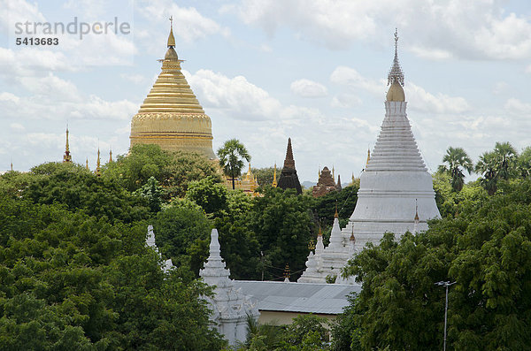 Pagodenfeld  Tempel  Zedi  Old Bagan  Pagan  Nyaung U  Shwezigon Pagode  Burma  Birma  Myanmar  Südostasien  Asien