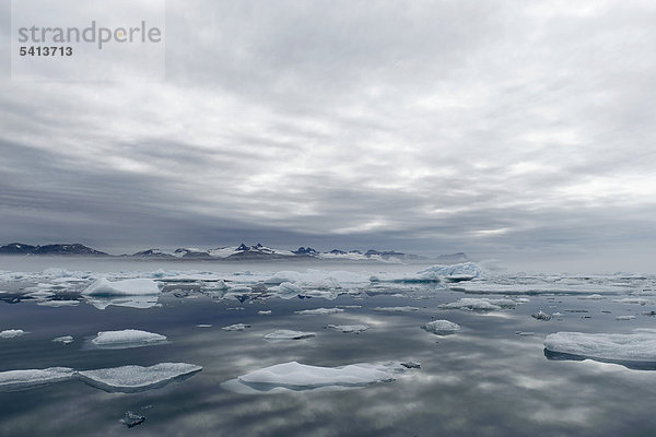 Eis im Johan Petersen Fjord  Ostgrönland  Grönland