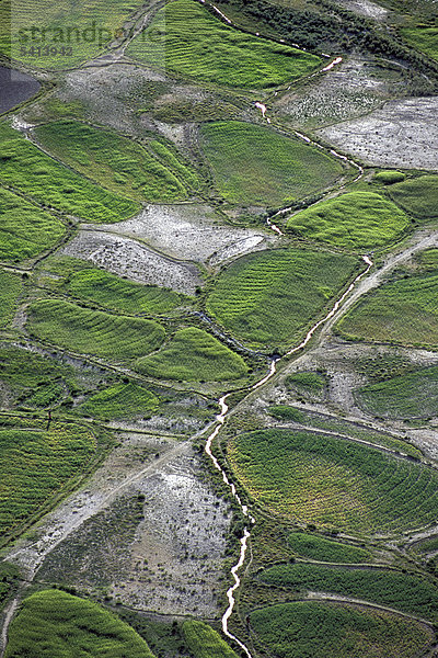 Felder oder Feldparzellen und Bewässerungskanäle  Tongde  bei Padum  Zanskar  Ladakh  indischer Himalaya  Jammu und Kaschmir  Nordindien  Indien  Asien