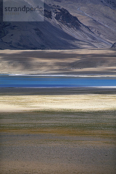 Tazang Tso  hochgelegener Salzsee  Changthang  Ladakh  indischer Himalaya  Jammu und Kaschmir  Nordindien  Indien  Asien