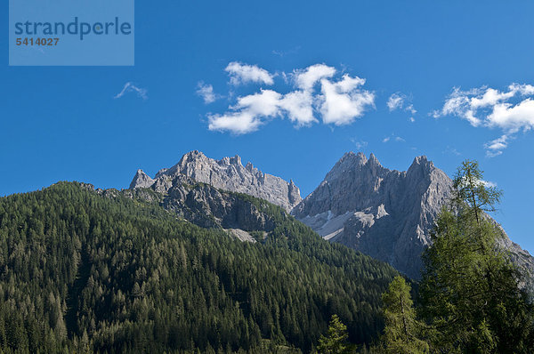 Tannenwald  Dolomiten  Fischleintal  Hochpustertal  Südtirol  Italien  Europa
