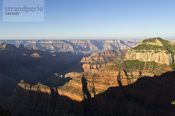 Morgenstimmung  North Rim  Grand Canyon Nationalpark  Arizona  USA