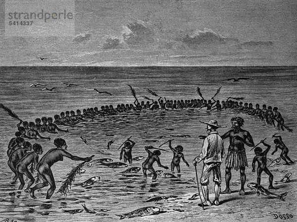 Fischfang auf den Samoa Inseln  Holzschnitt 1888