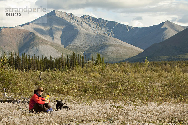 Junge Frau liest ein Buch  entspannt  sitzt im Wollgras  ihr Hund  ein Alaskan Husky  neben ihr  Peel Watershed  hinten die nördlichen Mackenzie Mountains  Yukon Territory  Kanada