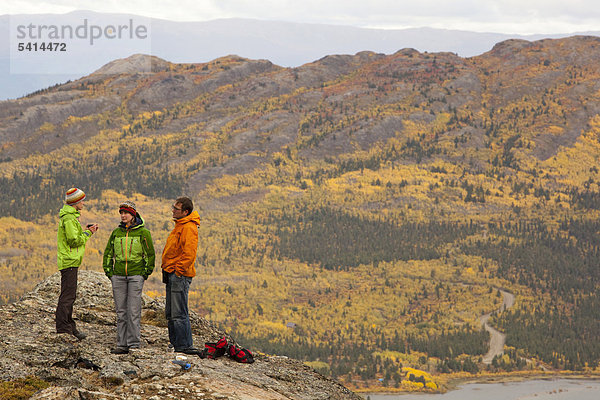 Eine Gruppe Wanderer  subalpine Tundra  Spätsommer  Blätter in Herbstfarben  Herbst  in der Nähe des Sees Fish Lake  Yukon Territory  Kanada