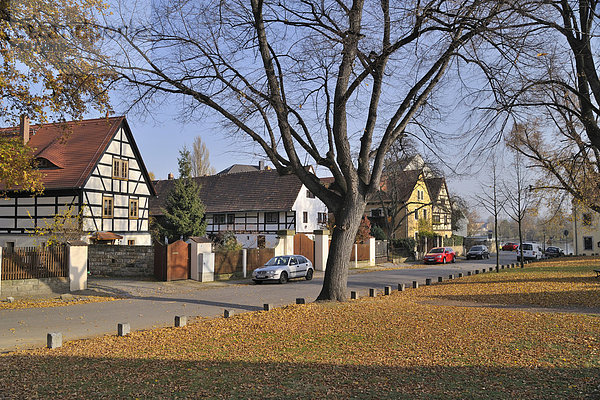 Europa Stadt Geschichte Ortsteil Dresden Deutschland Sachsen