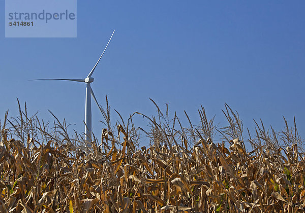 Vereinigte Staaten von Amerika USA Anschnitt Energie energiegeladen Amerika Wind bauen Windpark 8 Michigan Turbine
