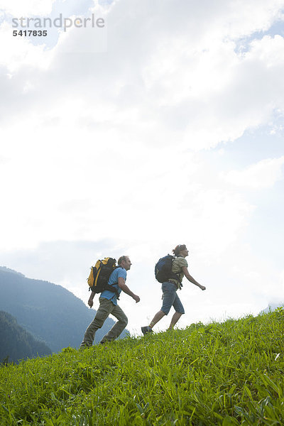 Wandern in den Schweizer Bergen  Berner Oberland  Grindelwald  Schweiz  Europa