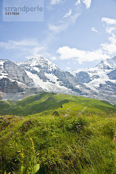 Eiger  Mönch und Jungfrau  Schweizer Berge  Berner Oberland  Grindelwald  Schweiz  Europa