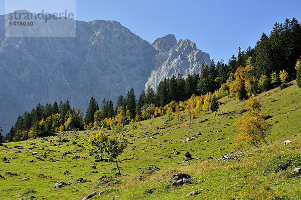 Landschaft im Karwendel-Gebirge nahe der Ortschaft Hinterriß  bei Vomp  Tirol  Österreich  Europa
